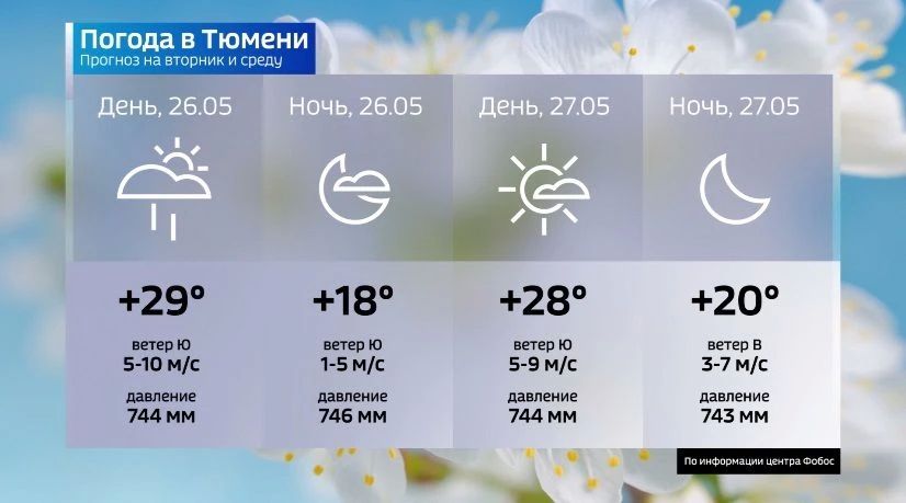 26 мая с запада на тюменский регион выходит система атмосферных фронтов, в большинстве районов ожидаются осадки, преимущественно ливневые дожди и грозы