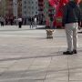 Милоты пост. В Нижневартовске появился пушистый скейтер