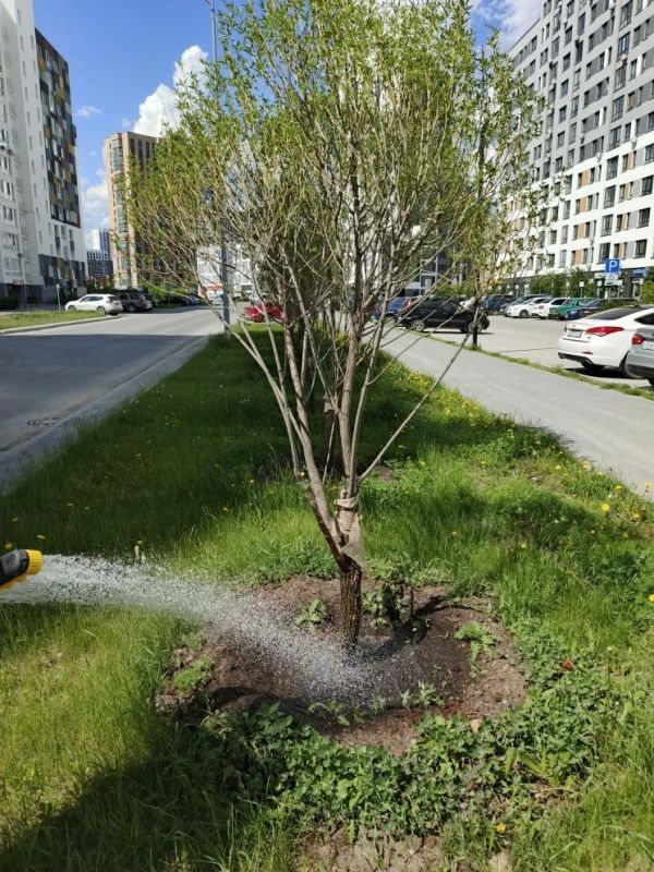 Сезон водных процедур открыт! Сезон водных процедур открыт!