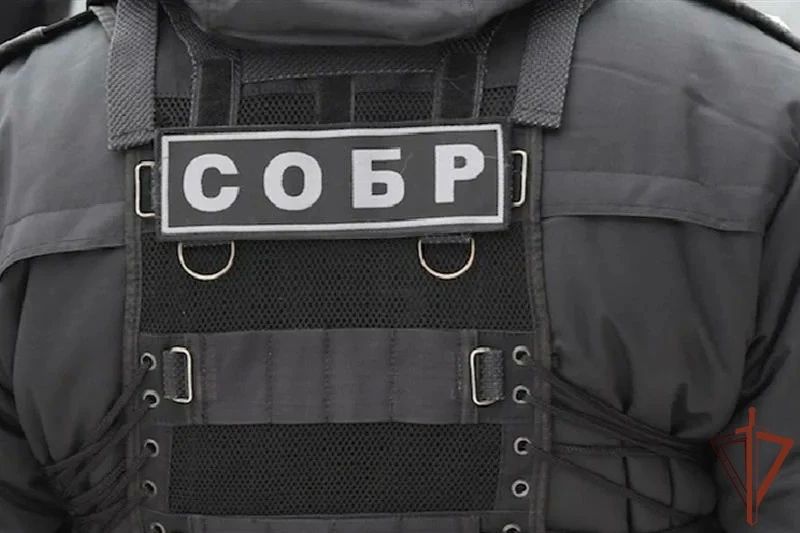 В Волгограде при силовой поддержке спецназа Росгвардии задержана преступная группа