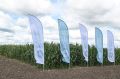 АПК Тюменской области сохранил устойчивость и продовольственную безопасность по итогам 2025 года