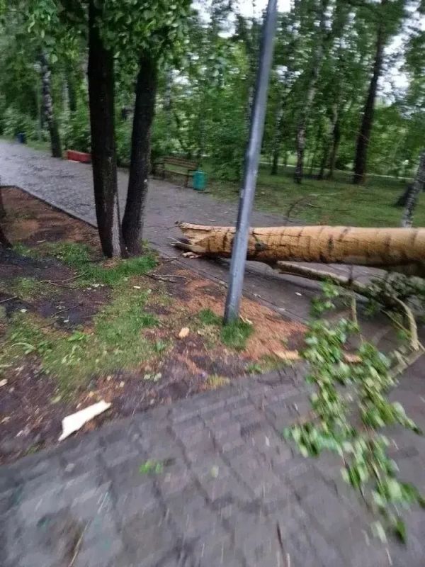Картина после ветра и ливня в Тюмени — такая… Картина после ветра и ливня в Тюмени — такая…