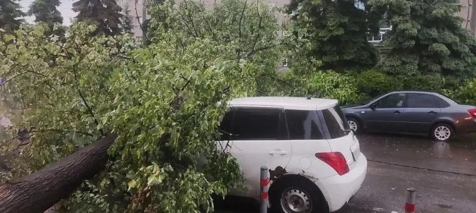 Картина после ветра и ливня в Тюмени — такая… Картина после ветра и ливня в Тюмени — такая…