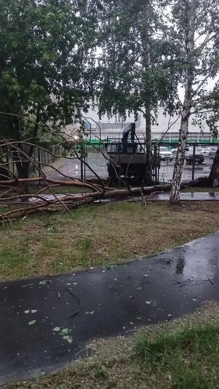 Картина после ветра и ливня в Тюмени — такая… Картина после ветра и ливня в Тюмени — такая…