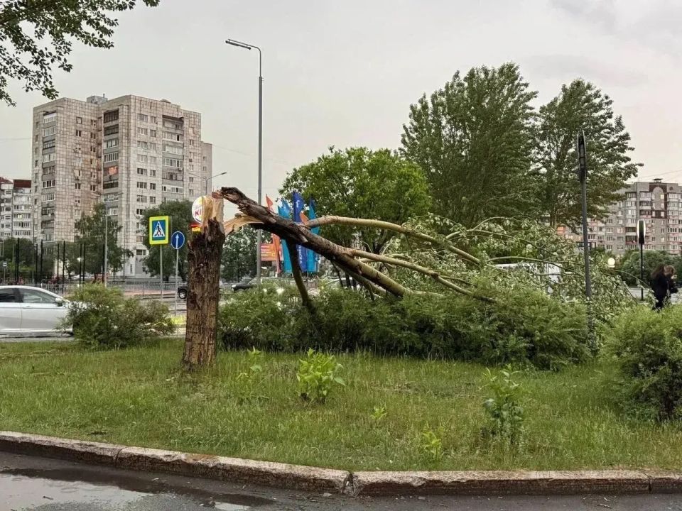 Картина после ветра и ливня в Тюмени — такая… Картина после ветра и ливня в Тюмени — такая…