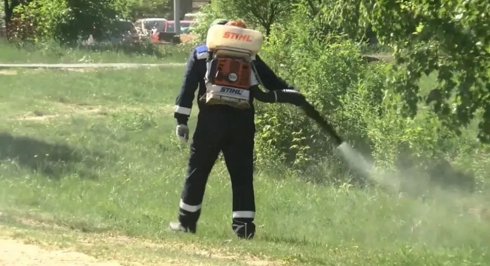 Внимательно посмотрите на эти фото: так Тюмень избавляют от кровососущих Внимательно посмотрите на эти фото: так Тюмень избавляют от кровососущих