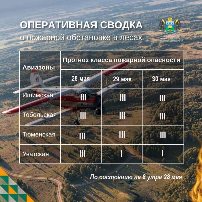 По данным региональной диспетчерской службы, на утро 28 мая в Тюменской области действует 3 лесных пожара из них 2 локализованных