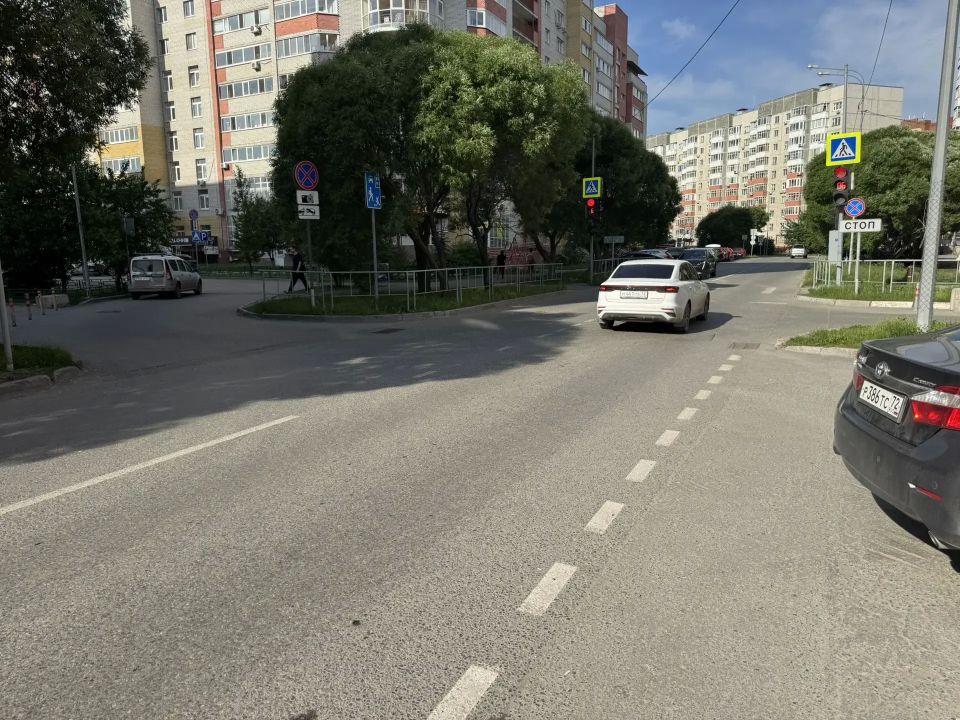 Очень опасны. Ездят пьяными по жаре у школ и по федеральным трассам Очень опасны. Ездят пьяными по жаре у школ и по федеральным трассам