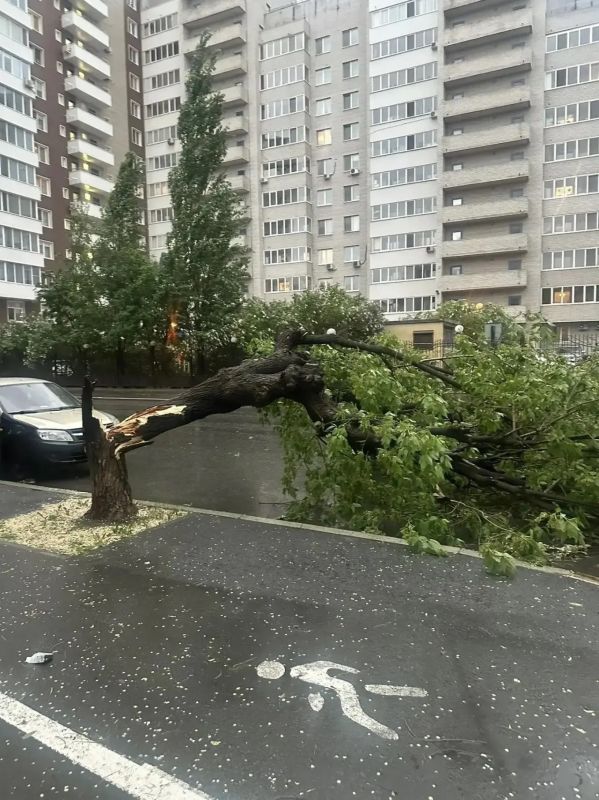 Картина после ветра и ливня в Тюмени — такая… Картина после ветра и ливня в Тюмени — такая…