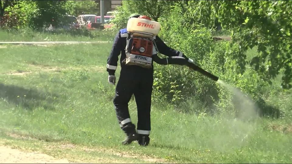 Городские водоемы Тюмени обработают от комаров