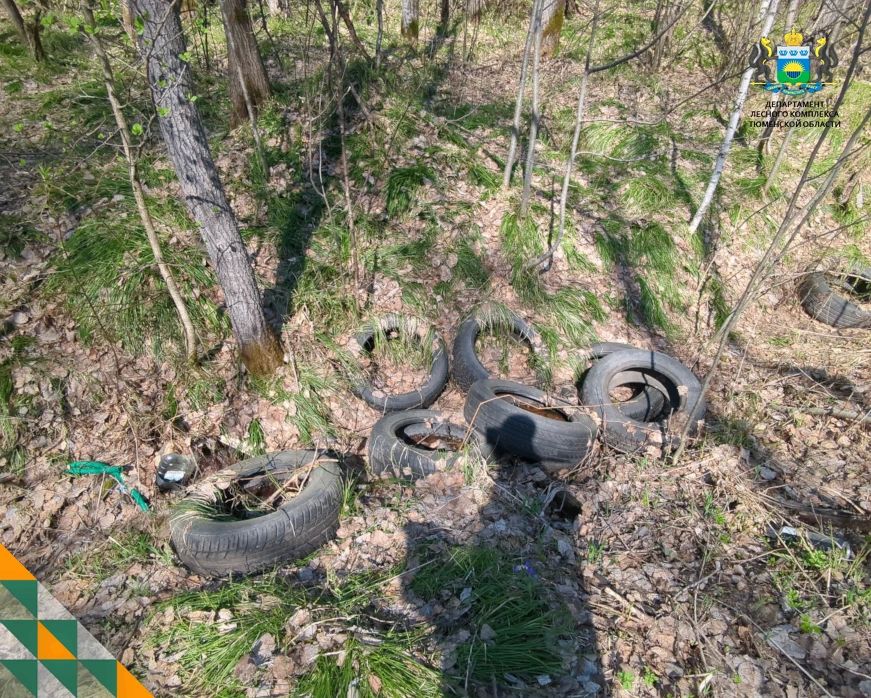 Лесничими Тюменского управления лесами при патрулировании лесов выявлено 4 несанкционированные свалки на землях лесного фонда, в том числе 1 свалка в Тюменском лесничестве на площади 0,004 га и 3 свалки в Тобольском... Лесничими Тюменского управления лесами при патрулировании лесов выявлено 4 несанкционированные свалки на землях лесного фонда, в том числе 1 свалка в Тюменском лесничестве на площади 0,004 га и 3 свалки в Тобольском...