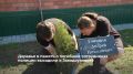 Деревья в память о погибших сотрудниках полиции высадили в Заводоуковске
