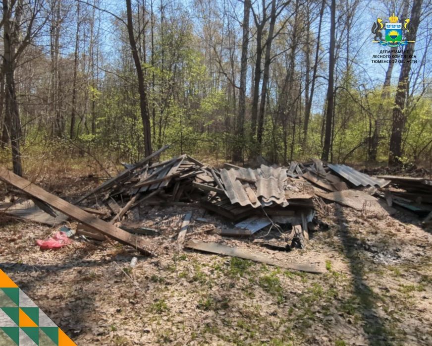 Лесничими Тюменского управления лесами при патрулировании лесов выявлено 4 несанкционированные свалки на землях лесного фонда, в том числе 1 свалка в Тюменском лесничестве на площади 0,004 га и 3 свалки в Тобольском... Лесничими Тюменского управления лесами при патрулировании лесов выявлено 4 несанкционированные свалки на землях лесного фонда, в том числе 1 свалка в Тюменском лесничестве на площади 0,004 га и 3 свалки в Тобольском...