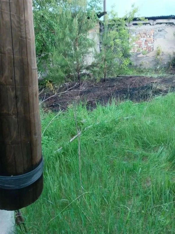 Вчерашняя непогода — сильный дождь и порывы ветра — привела к ряду чрезвычайных ситуаций на территории области Вчерашняя непогода — сильный дождь и порывы ветра — привела к ряду чрезвычайных ситуаций на территории области