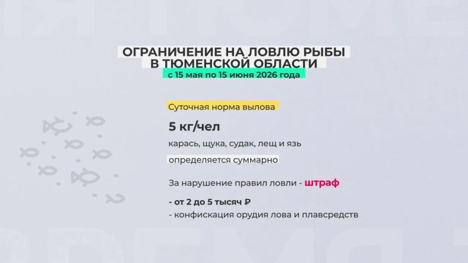 В Тюменской области с 15 мая по 15 июня действует запрет на ловлю рыбы в озерах В Тюменской области с 15 мая по 15 июня действует запрет на ловлю рыбы в озерах
