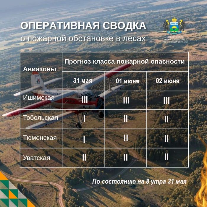 По данным региональной диспетчерской службы, на утро 31 мая в Тюменской области действует 2 локализованных лесных пожара
