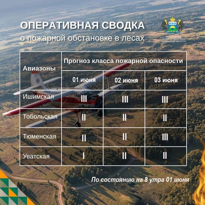 По данным региональной диспетчерской службы, на утро 01 июня в Тюменской области нет действующих лесных пожаров