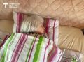 Кому проще жить — «совам» или «жаворонкам»?