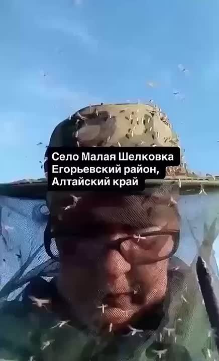 Если вы не знали, как выглядит апокалипсис, то это он! Комариный ад настиг Алтай!