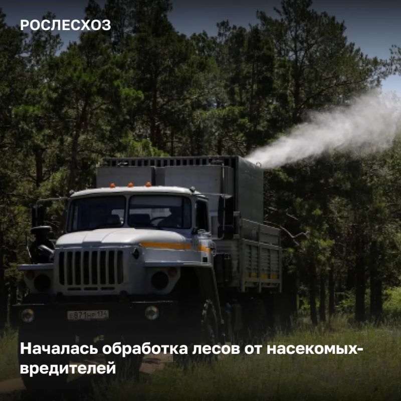 Мероприятия по обработке лесов от насекомых-вредителей уже прошли на площади 194,9 тыс