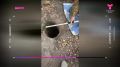 � ������ ������ ������ ������, ������ ������� ������ ������ � ���� �� ����� ����� ��� �������, ������ ������� ���������� �� ���� �� ���������� ������