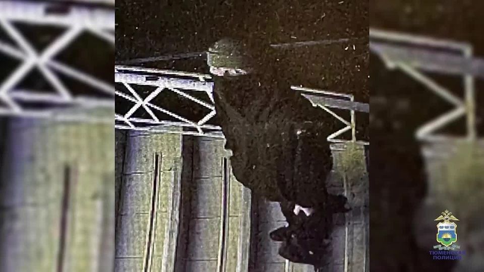 02В полицию города Тюмени поступило два заявления о кражах из магазина и кофейни