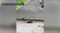 � ����� �� ��������� ������ ������� ������ ������� ��������� ����