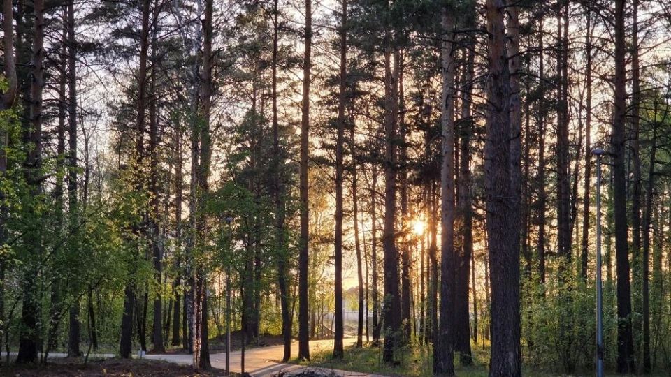 Комарово-парк в Тюмени откроют 18 июля Комарово-парк в Тюмени откроют 18 июля