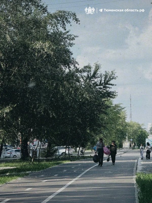 Пух с нами надолго? Рассказываем
