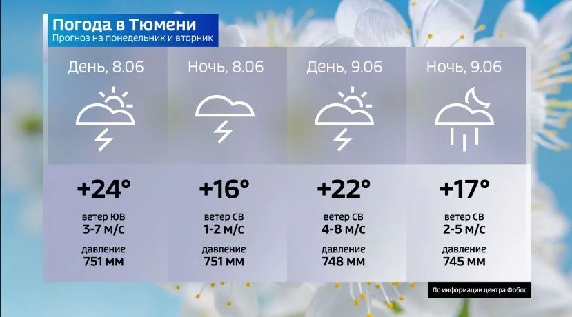 8 июня барическое поле в Западной Сибири останется пониженным