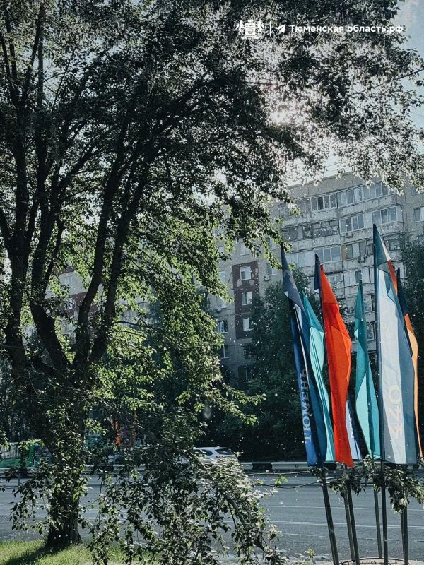 Пух с нами надолго? Рассказываем Пух с нами надолго? Рассказываем