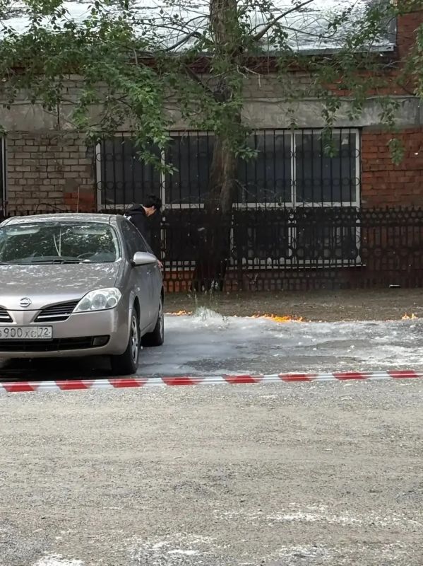 Дети принялись за поджоги…тополиного пуха Дети принялись за поджоги…тополиного пуха