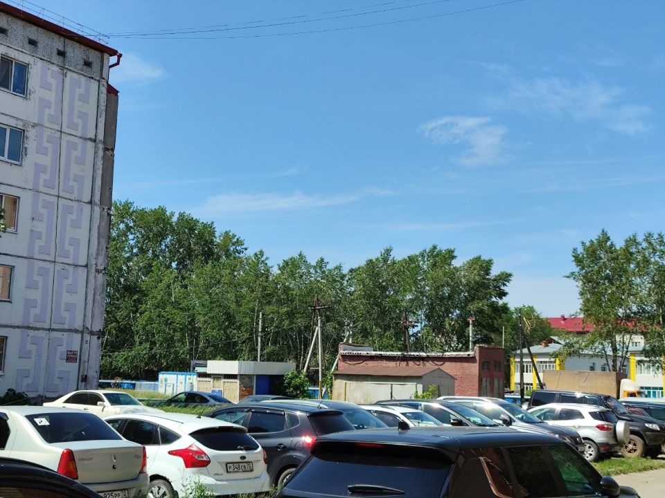 Тополя в селе Каскара достигают высоты пятиэтажных домов Тополя в селе Каскара достигают высоты пятиэтажных домов