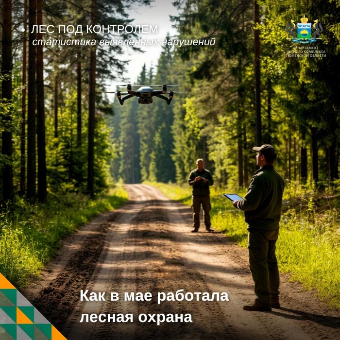 Рубрика: Лес под контролем