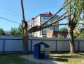 В детском саду «Золотой петушок» в Каскаре упало дерево