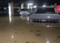 ������� ����������, ��� ������� �������� � �� �������, ��� ������ �� �������� ��������, ��� ����