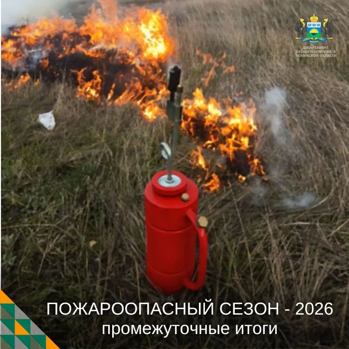 Промежуточные итоги пожсезона
