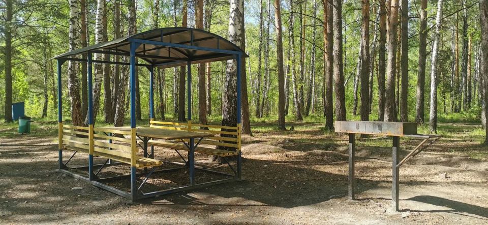 «Едем на пикник»: рассказываем о зонах для комфортного пикника в городских лесах «Едем на пикник»: рассказываем о зонах для комфортного пикника в городских лесах