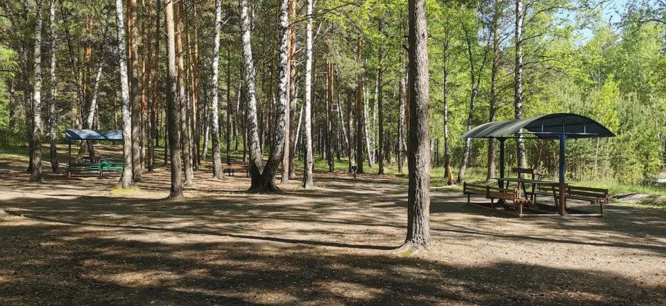 «Едем на пикник»: рассказываем о зонах для комфортного пикника в городских лесах «Едем на пикник»: рассказываем о зонах для комфортного пикника в городских лесах