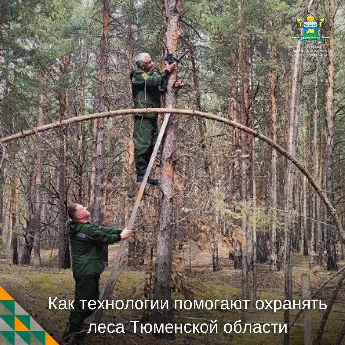 Патрулирование лесов в регионе ведётся с помощью современных технологий