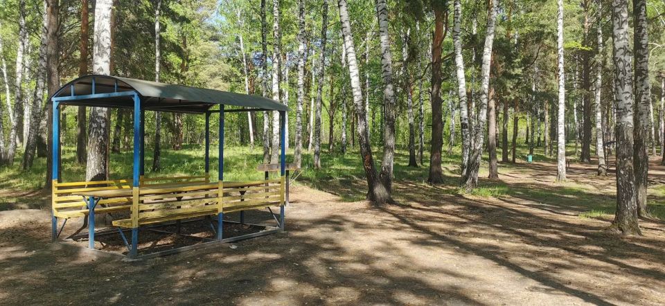 «Едем на пикник»: рассказываем о зонах для комфортного пикника в городских лесах «Едем на пикник»: рассказываем о зонах для комфортного пикника в городских лесах