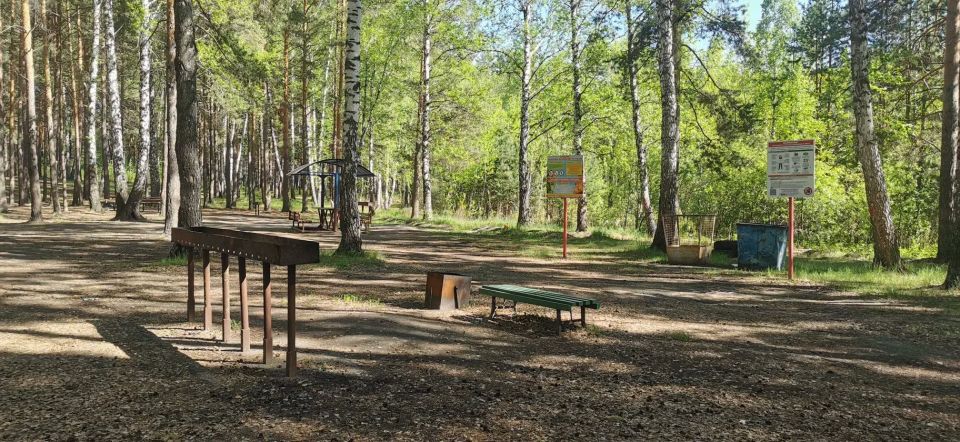 «Едем на пикник»: рассказываем о зонах для комфортного пикника в городских лесах «Едем на пикник»: рассказываем о зонах для комфортного пикника в городских лесах