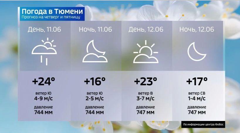 11 июня погоду Западной Сибири будет удерживать под своим контролем циклон с центром севернее Тюмени