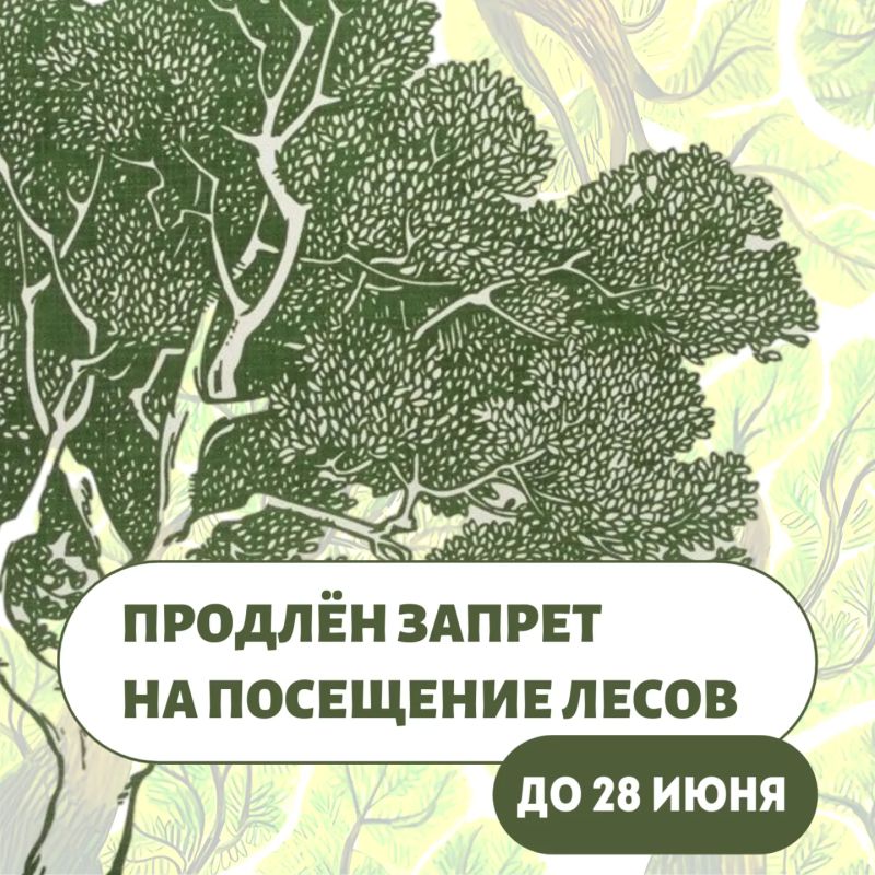 В рамках особого противопожарного режима продлевается запрет на посещение лесов