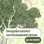 В рамках особого противопожарного режима продлевается запрет на посещение лесов