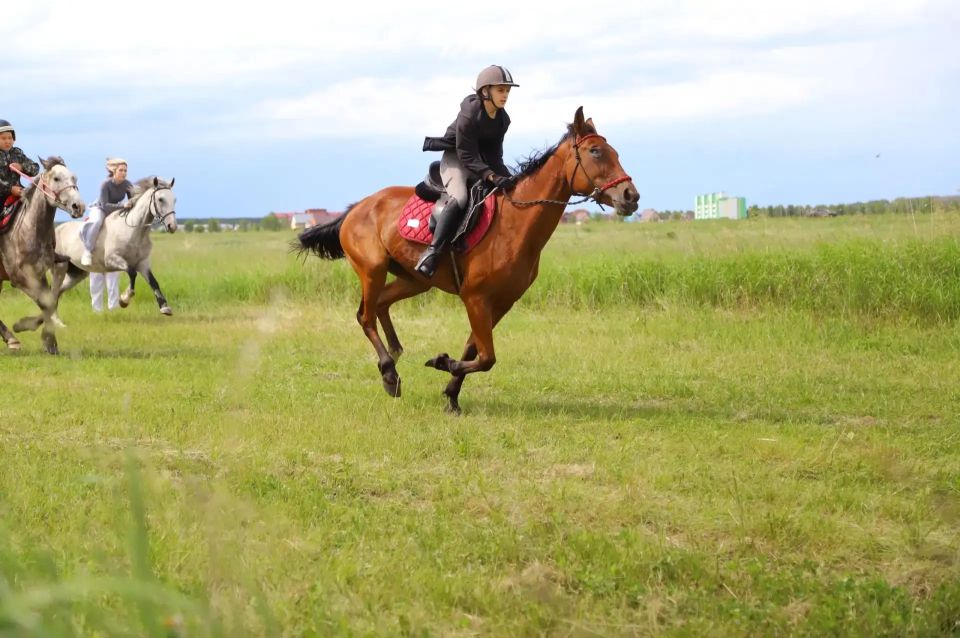 Соревнования по конному спорту в Голышманово посвятили Году единства народов России Соревнования по конному спорту в Голышманово посвятили Году единства народов России