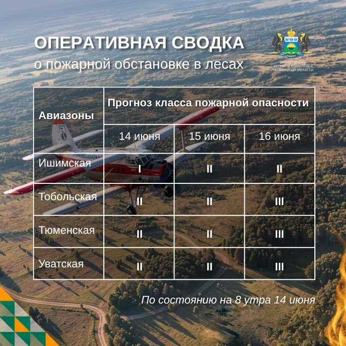 По данным региональной диспетчерской службы, на утро 14 июня в Тюменской области нет действующих лесных пожаров