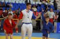 В эти выходные в рамках Дня города в Ишиме развернулся турнир по самбо на призы Конька-Горбунка