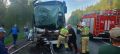 ДТП со смертельным исходом произошло рано утром на автодороге Курган-Тюмень в Исетском округе
