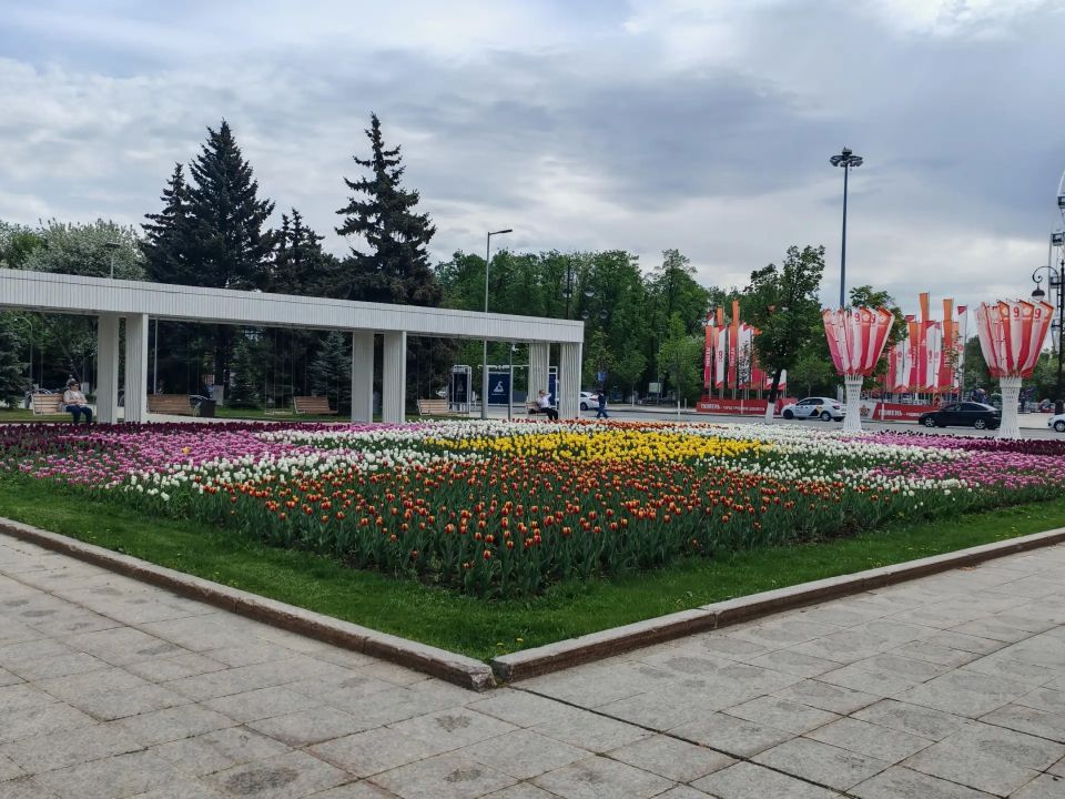 Цветы в городе — не просто украшение Цветы в городе — не просто украшение